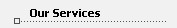 Our Services